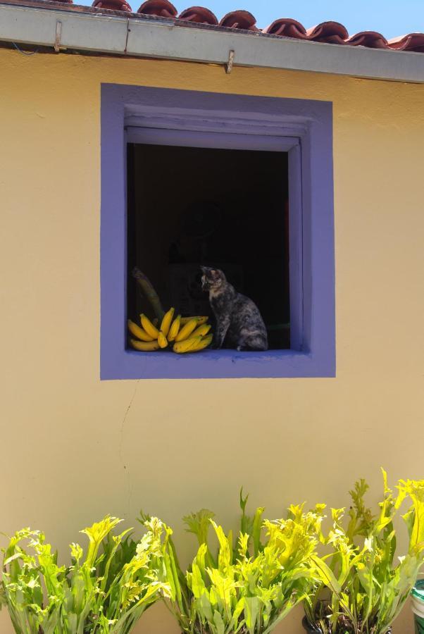 Calango Hostel Ibicoara Exterior photo